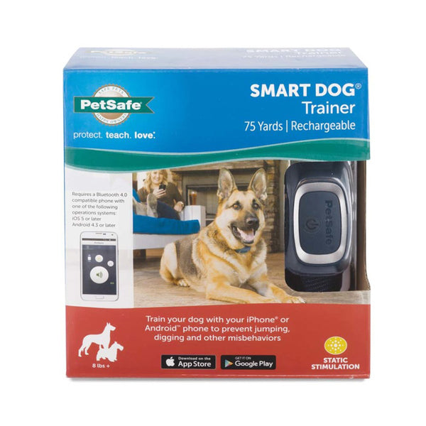 RAD TRNG SMART DOG CLLR